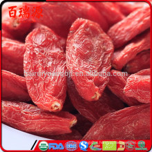 Benefícios do chá de goji berries benefícios do goji berries e diabetes como comer bagas de goji secas